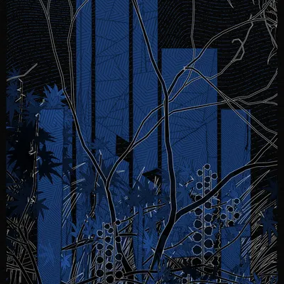 #52000071