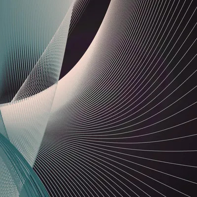#64000008