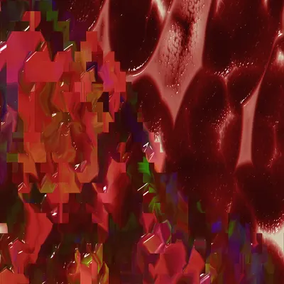 #67000025