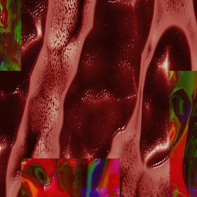 #67000042