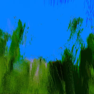 #70000024