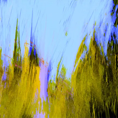 #70000038
