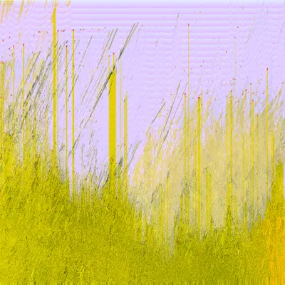 #70000055