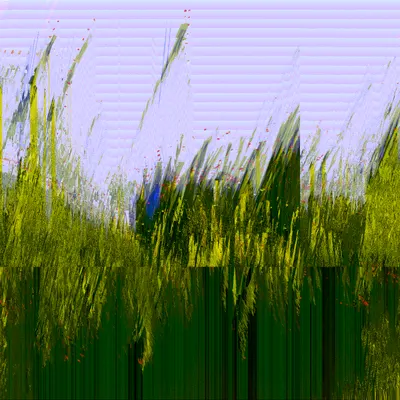 #70000058