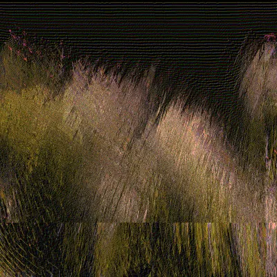 #70000061