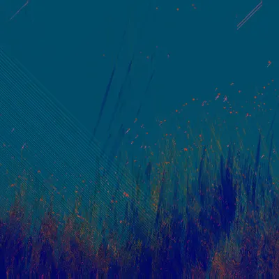 #70000065