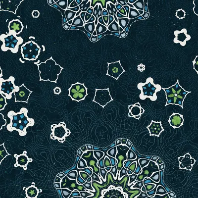 #81000004