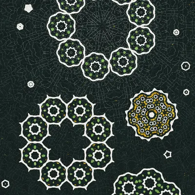 #81000073