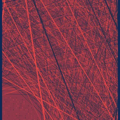 #11000019