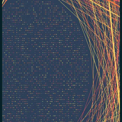 #11000081