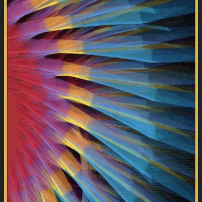 #13000028