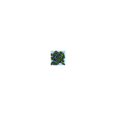 #137000067