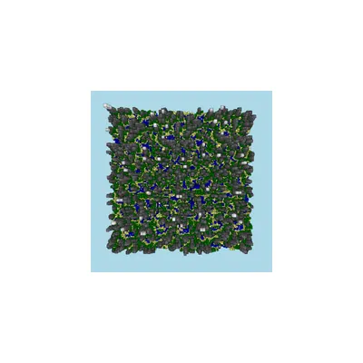 #137000070