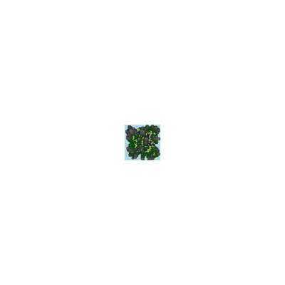 #137000076