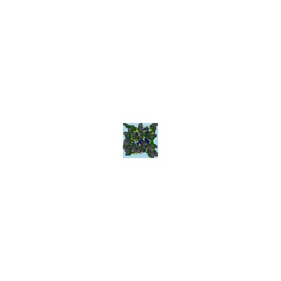 #137000098