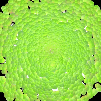 #144000005