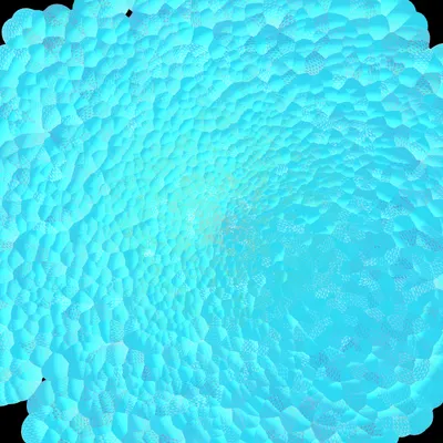 #144000016