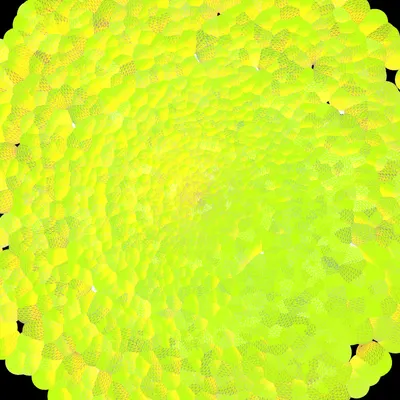 #144000021