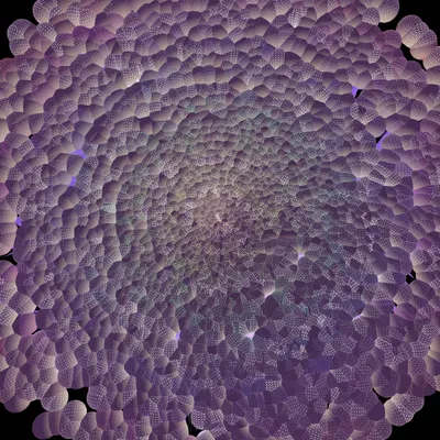 #144000031
