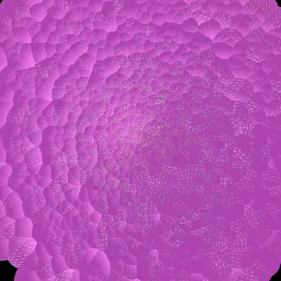 #144000041