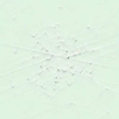 #163000007