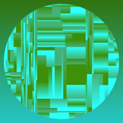 #17000081