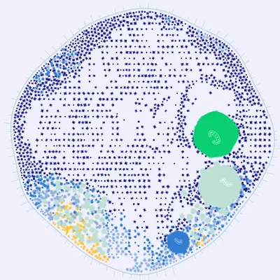 #194000009