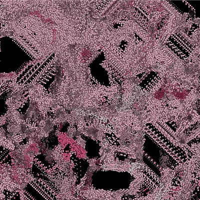 #199000009