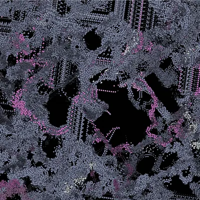 #199000011