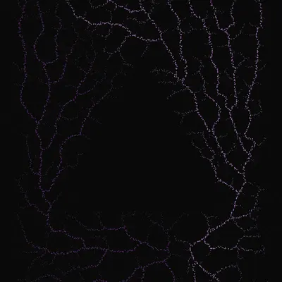 #200000002