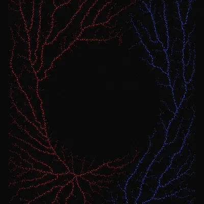 #200000003