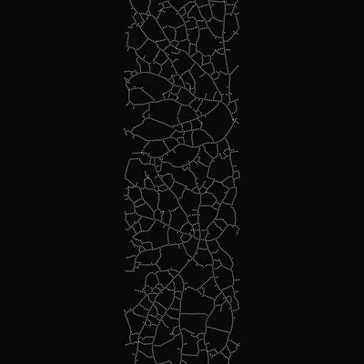 #200000006
