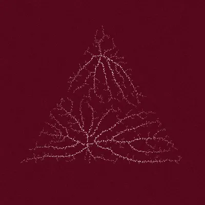 #200000009
