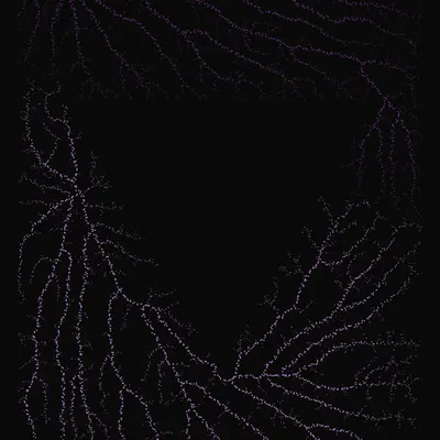 #200000010