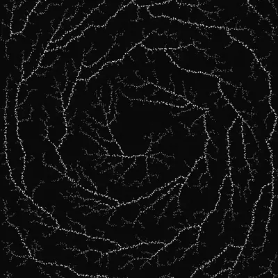 #200000011