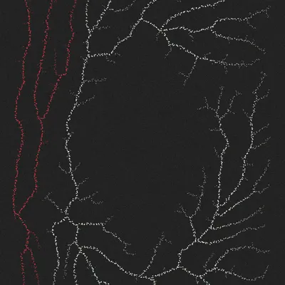 #200000017