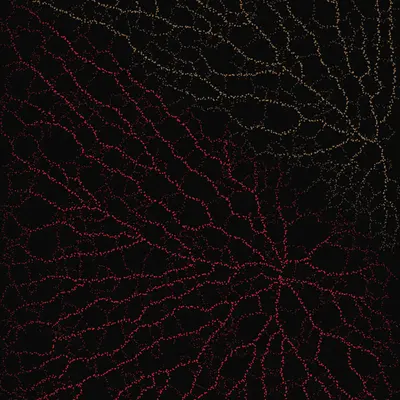 #200000020