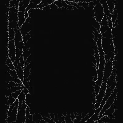 #200000034