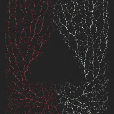 #200000049