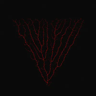 #200000060