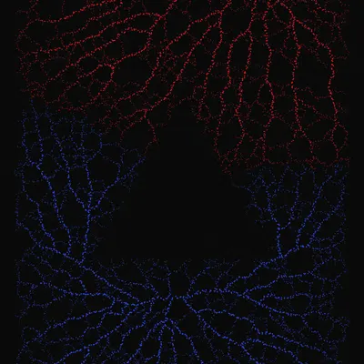 #200000062