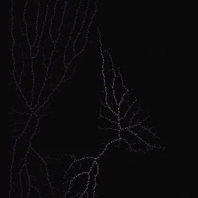 #200000071