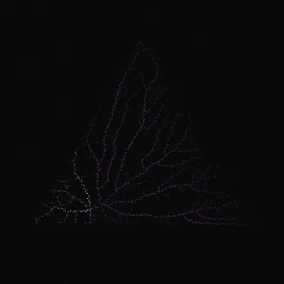 #200000082