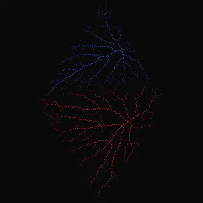 #200000090