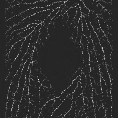 #200000092