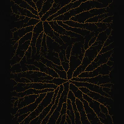 #200000093