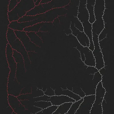 #200000094