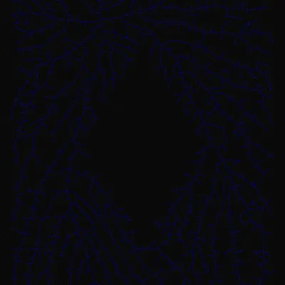 #200000096