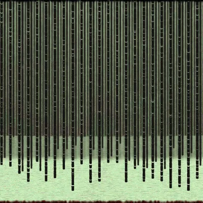 #2000055