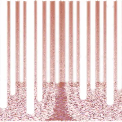 #2000065